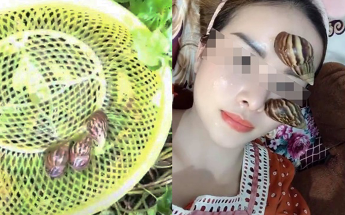 'Rợn người' cô gái cho ốc sên bò lên mặt để lấy chất nhầy làm đẹp da Ảnh 2