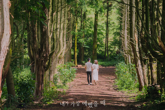 Lộ ảnh hôn lễ đẹp như cổ tích của Im Soo Hyang và Ha Seok Jin Ảnh 15