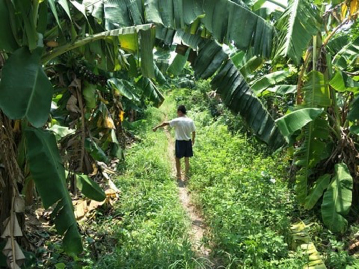 Đã bắt được nghi phạm chặn xe bé gái trên đường vắng, đưa vào vườn chuối xâm hại tình dục Ảnh 1