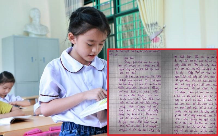 Bài văn tả anh trai với vô số lời khen ngợi cùng chỉ số IQ cực 'đỉnh' của cô bé tiểu học khiến CĐM cười ngất Ảnh 2