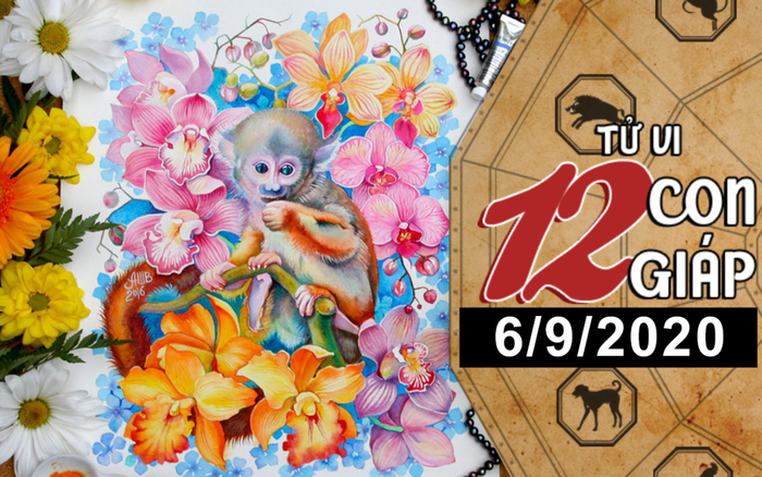 Tử vi chủ nhật ngày 6/9/2020 của 12 con giáp: Sửu thu nhập tăng cao, Thân vượng vận đào hoa Ảnh 2