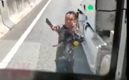 Tài xế container dùng dao hâm dọa xe khách trên cao tốc TP.HCM - Trung Lương khiến cư dân mạng bức xúc Ảnh 2