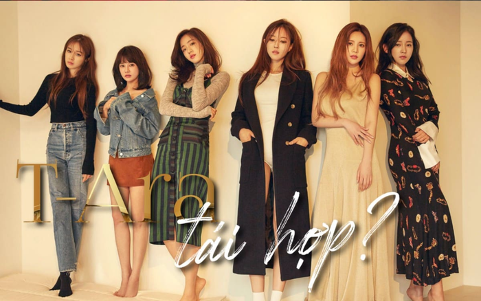 T-Ara sẽ có sân khấu tái hợp trên show truyền hình đặc biệt của SBS? Ảnh 2
