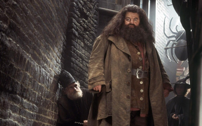 Rubeus Hagrid hay Tom Riddle sẽ xuất hiện trong 'Fantastic Beast 3'? Ảnh 2