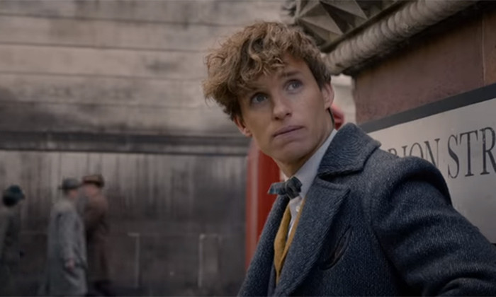 Rubeus Hagrid sẽ xuất hiện trong 'Fantastic Beast 3'? Ảnh 1