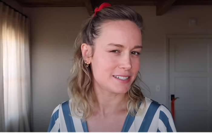 Brie Larson giải thích lý do cô từ chối vai diễn Captain Marvel tận 2 lần liền Ảnh 2