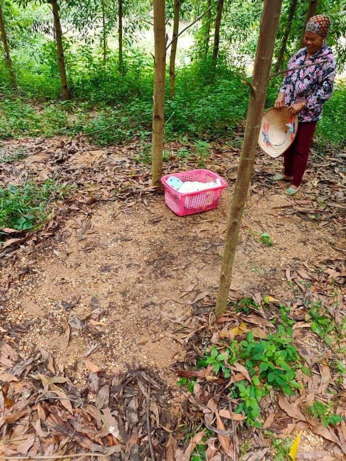  Cháu bé bị bỏ rơi trong một chiếc giỏ màu hồng.