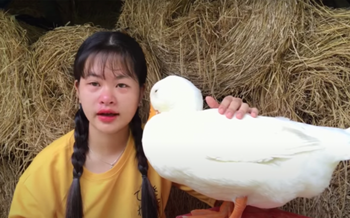 Cô bé YouTuber Sâu khóc nức nở khi rời xa chú vịt cưng để đi học, dân mạng bùi ngùi xúc động Ảnh 2