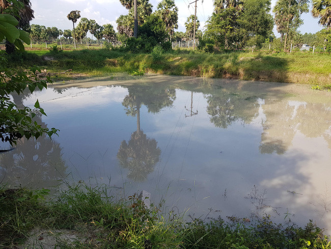 Hồ nước nơi xảy ra sự việc. Ảnh: Dân Việt