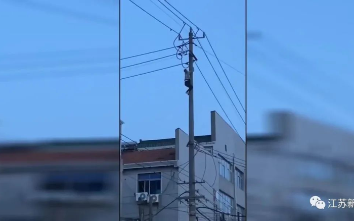 Thất tình tự tử đu dây điện, nam thanh niên gián tiếp khiến một cụ bà tử vong Ảnh 2