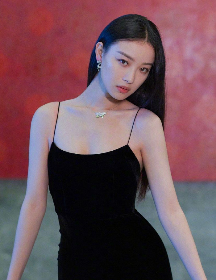 Nghê Ni: Xuất phát điểm là diễn viên được đạo diễn Trương Nghệ Mưu lăng xê, Nghê Ni dù không thành công vang dội nhưng có diễn xuất ấn tượng. Đường tình không suôn sẻ nhưng cô vẫn rất mạnh mẽ, ngoài ra còn được mọi người khen là thân thiện và hòa đồng.