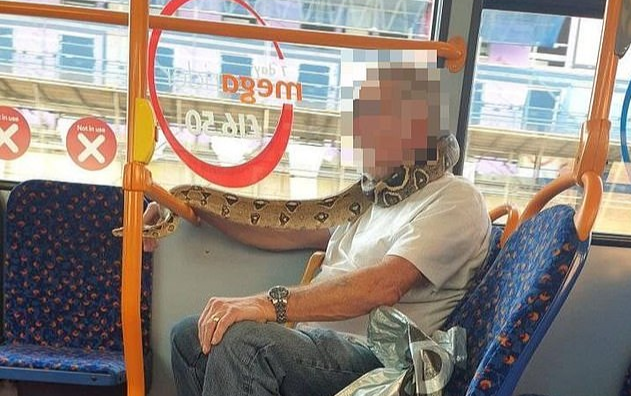 Người đàn ông 'đeo' trăn thay khẩu trang chống COVID-19 Ảnh 2