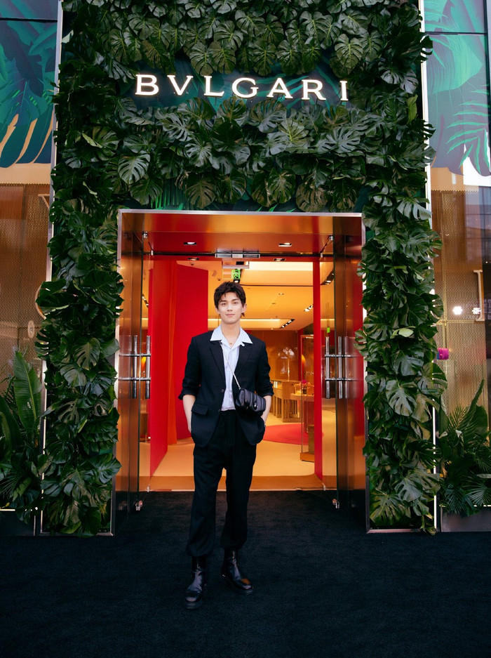 Ngô Lỗi cứ như 'biến hình' thành Đinh Vũ Hề, Cnet: Hai người họ giống nhau quá! Ảnh 3