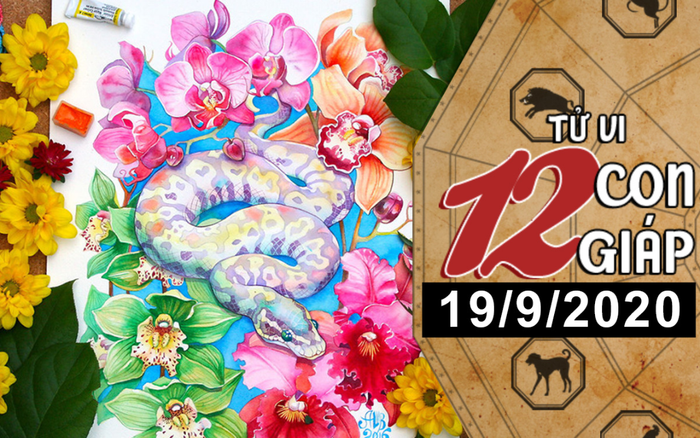 Tử vi thứ 7 ngày 19/9/2020 của 12 con giáp: Sửu tài chính sa sút, Tỵ vượng tài lộc Ảnh 2