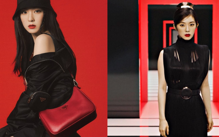 Không phải Lisa, dân tình 'bùng nổ' trước visual của Irene (Red Velvet) khi cô trở thành đại sứ thương hiệu cho Prada Ảnh 2