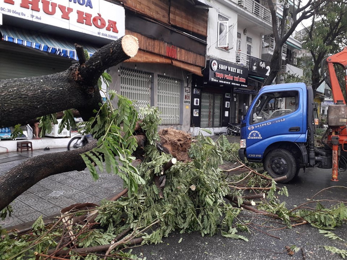 Cây bật gốc ngã la liệt tại Huế. Ảnh: báo Công an