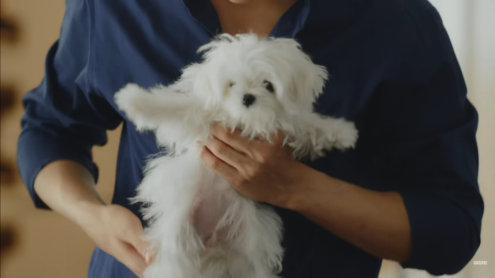 'I'm Tee, Me Too' tập 1: Ngôi nhà kỳ lạ của những anh chàng tên Tee Ảnh 46