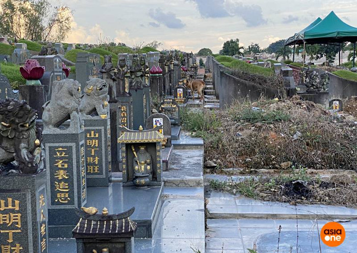 Chàng trai có sở thích tham quan nghĩa trang để 'thư giãn' Ảnh 3