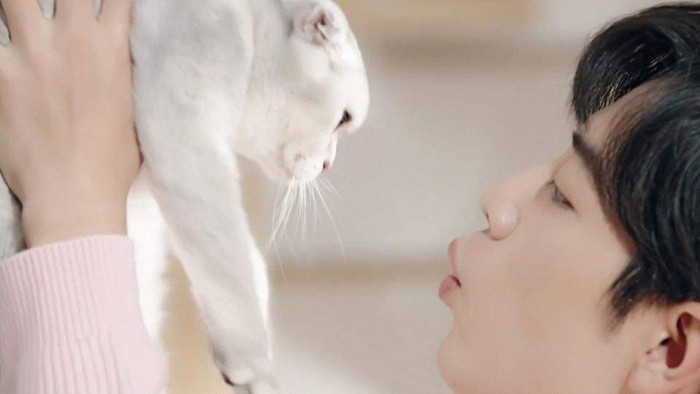 Tiêu Chiến trong mẫu quảng cáo mới nhất: Bị chỉ trích 'cưa sừng làm nghé', 30 tuổi mà vẫn còn chu môi Ảnh 6