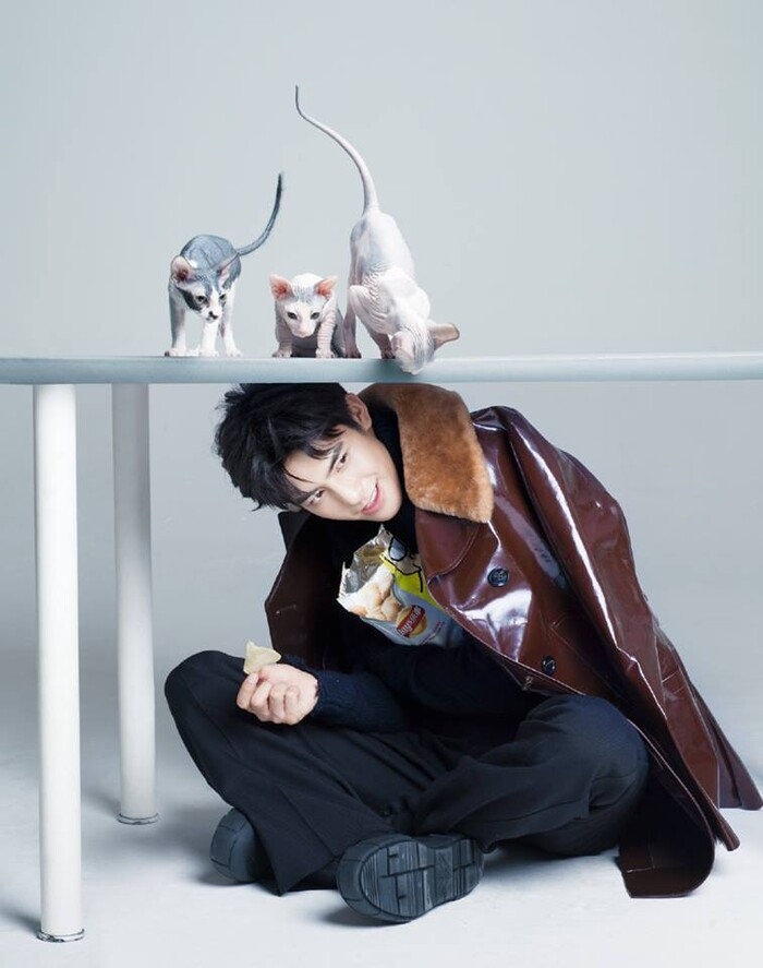 Sehun (EXO), Ngô Thiến, Tống Uy Long, Cúc Tịnh Y cùng góp mặt trong 'Tôi yêu người miêu tinh' 2021 Ảnh 6