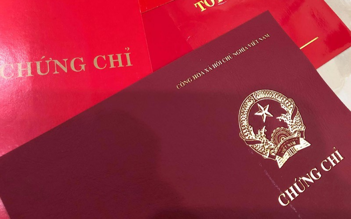 3 giáo viên sử dụng chứng chỉ giả mạo bị hủy quyết định trúng tuyển viên chức ngành GD&ĐT Ảnh 2