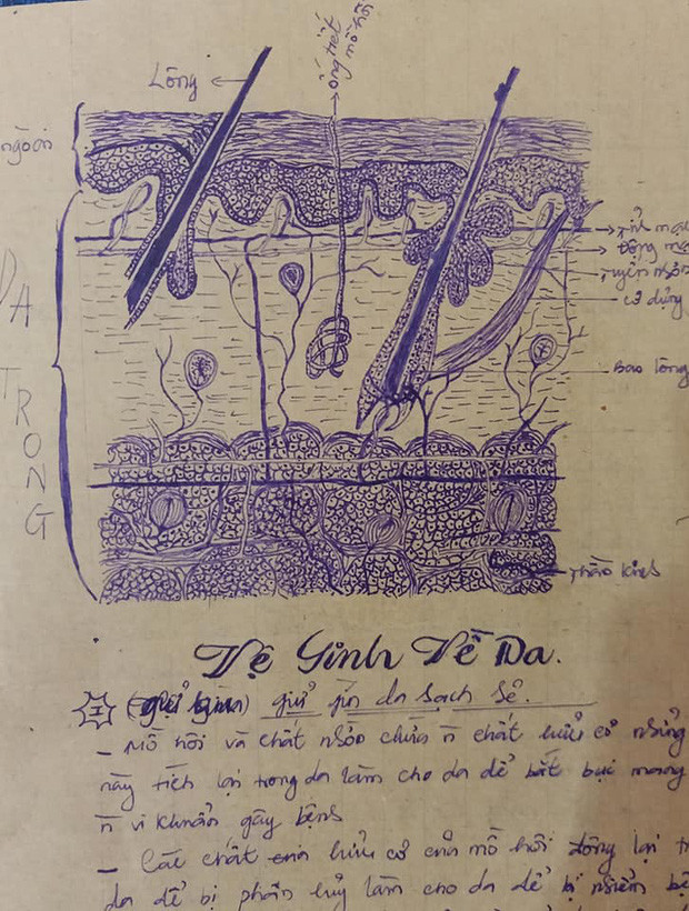 Quyển vở Sinh học ngày xưa khiến các cô cậu học trò ngưỡng mộ: Được vẽ tay toàn bộ, giống sách giáo khoa đến từng chi tiết Ảnh 2