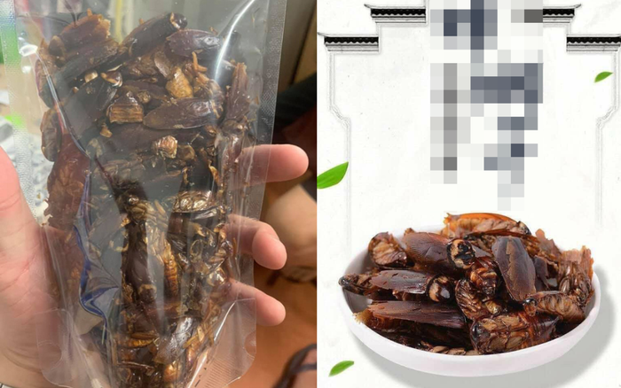 Bất ngờ chưa! Snack gián đã ra đời, bạn có muốn ăn thử không? Ảnh 2