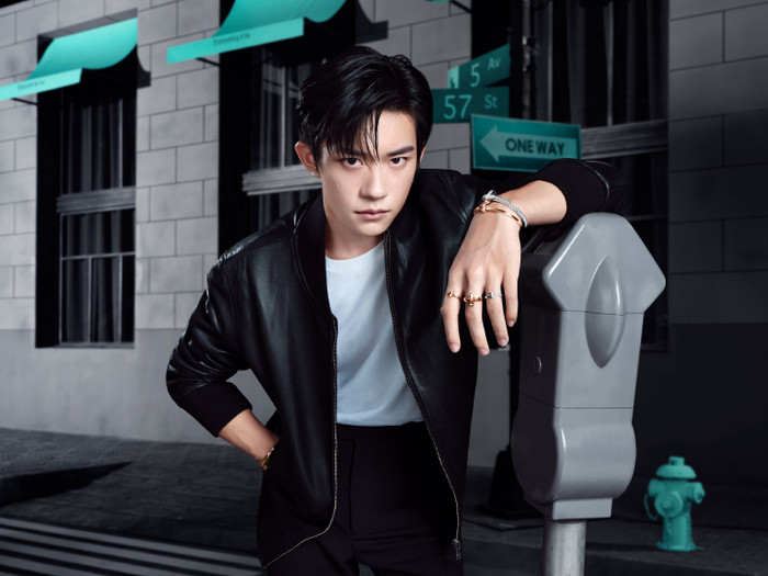 Dịch Dương Thiên Tỉ không đến tham gia Giải thưởng Kim Ưng vì không muốn trở thành Địch Lệ Nhiệt Ba thứ hai? Ảnh 9