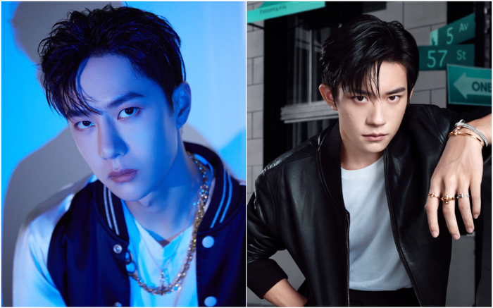 Dịch Dương Thiên Tỉ không đến tham gia Giải thưởng Kim Ưng vì không muốn trở thành Địch Lệ Nhiệt Ba thứ hai? Ảnh 2