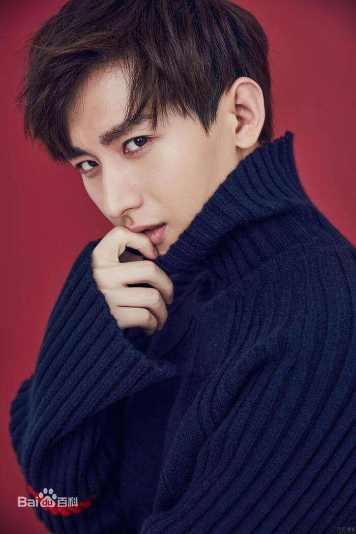 Không muốn làm phật lòng người hâm mộ nhưng cuối cùng lại mất đến 120 ngàn fan, Thành Nghị sẽ trở thành Tiêu Chiến thứ hai? Ảnh 17