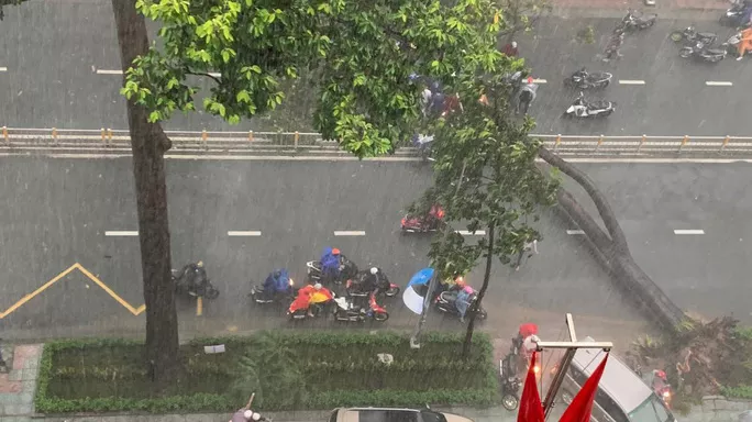 Cây xanh ngã đổ chiều 24/9 khiến một người đi xe máy ngang qua bị thương. Ảnh: Facebook Toan Luu Duc Huynh