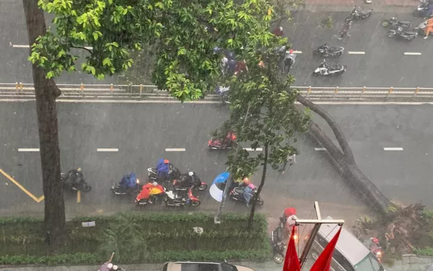 Mưa lớn nhiều giờ liền tại TP.HCM khiến cây xanh bật gốc, đè bị thương một người đi đường Ảnh 2
