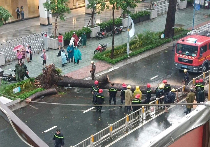 Hoàn cảnh bệnh nhân bị cây đè ngã tại quận 10: Hai vợ chồng đều làm công nhân và có con nhỏ 3 tuổi rưỡi Ảnh 4