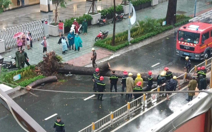 Hoàn cảnh bệnh nhân bị cây đè ngã tại quận 10: Hai vợ chồng đều làm công nhân và có con nhỏ 3 tuổi rưỡi Ảnh 2