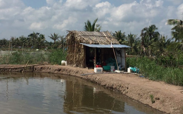 Phát hiện 3 người tử vong trong chòi tôm cùng 2 lá thư tuyệt mệnh Ảnh 2
