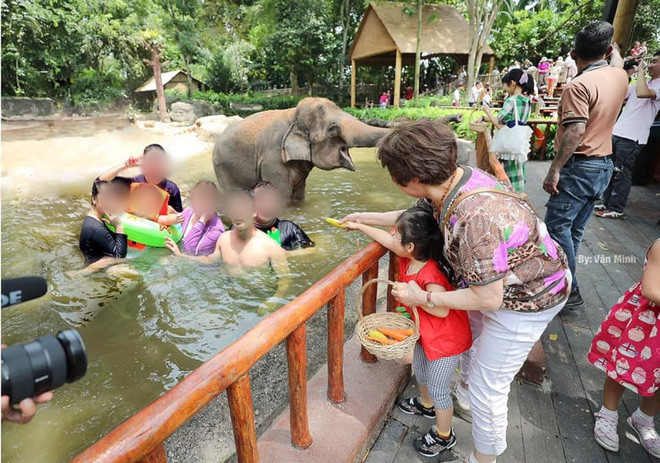 Đây là kết quả mà không ai mong muốn