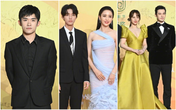 Thảm đỏ 'LHP Bách Hoa thưởng 2020': Dịch Dương Thiên Tỉ kém sắc hơn đồng đội, Dương Tử xinh xắn sau thời gian bị chê Ảnh 2