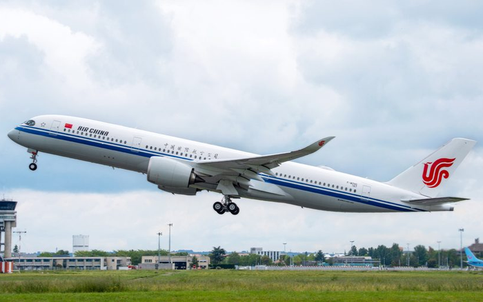 Phát hiện người đàn ông chết trong toilet, máy bay phải hạ cánh khẩn cấp Ảnh 2