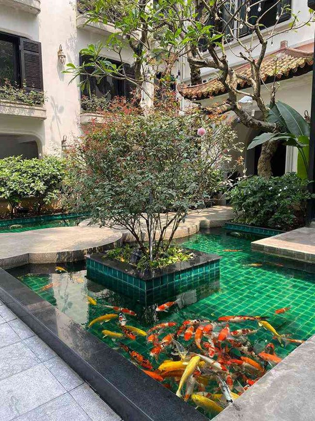 Căn biệt thự có hồ cá siêu rộng và trồng nhiều loại cây khác nhau