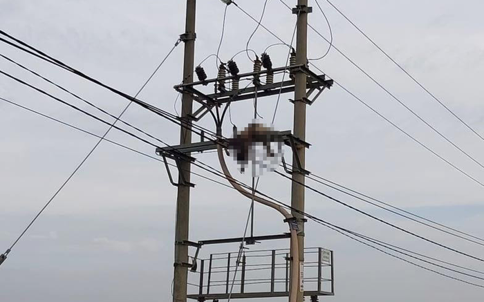 Phát hiện thi thể người đàn ông trung niên trên cột điện cao thế ở Hải Phòng Ảnh 2