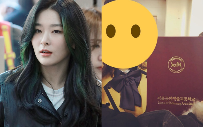 Seulgi, Naeun và những ngôi sao K-Pop vướng phải scandal giả trong năm 2020 Ảnh 2