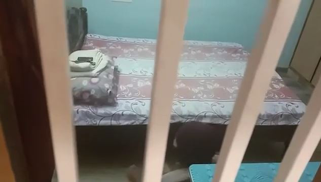 Badu tự nhốt mình trong phòng sau khi bị gia chủ phát hiện. 