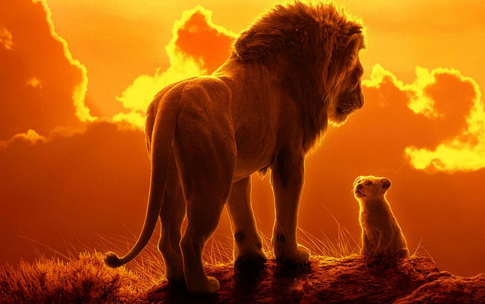 Quyết tâm giành tượng vàng, Disney mời đạo diễn 'Moonlight' làm phần 2 'The Lion King' Ảnh 2
