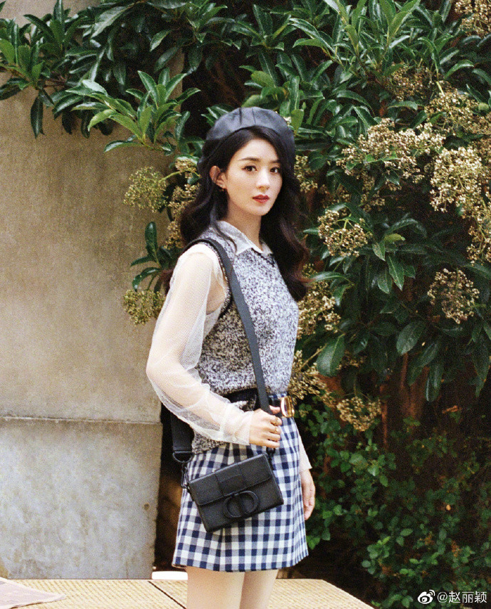 Triệu Lệ Dĩnh cũng đồng đại sứ Dior với Angelababy và thường xuyên tham gia các sự kiện 