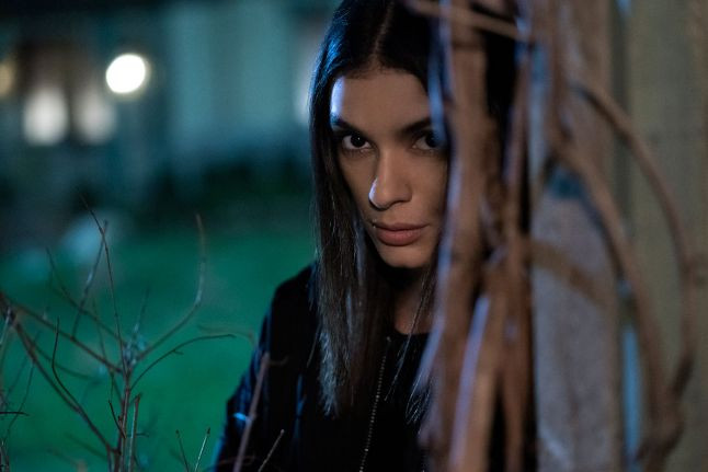 Netflix sắp ra mắt mùa 2 của 'Locke & Key': Series kinh dị, thần thoại với đầy những bí ẩn đen tối Ảnh 11