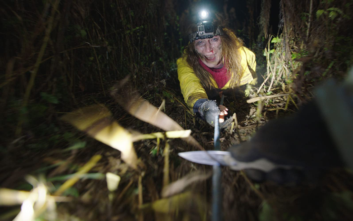 Những khu rừng trong phim kinh dị khiến khán giả lạnh sống lưng Ảnh 2