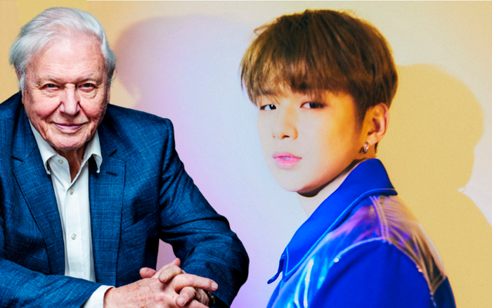 Kang Daniel mất nửa ngày để đạt kỷ lục 1 triệu follower trên Instagram, người đàn ông này chỉ mất vài tiếng Ảnh 2