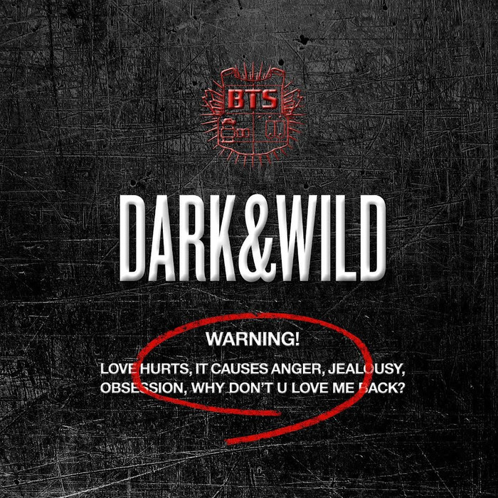 Jungkook nói về hậu trường 'Dark & Wild', RM trổ tài phiên dịch Ảnh 3