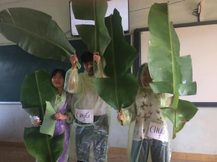 Chuối 1, chuối 2, chuối 3, tụi mình là đại gia đình nhà chuối nhé!