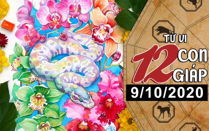 Tử vi thứ 6 ngày 9/10/2020 của 12 con giáp: Sửu thu nhập tăng lên, Tỵ tiền bạc không thiếu Ảnh 2